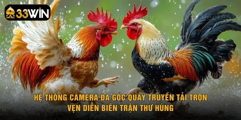 Hệ thống camera đa góc quay truyền tải trọn vẹn diễn biến trận thư hùng